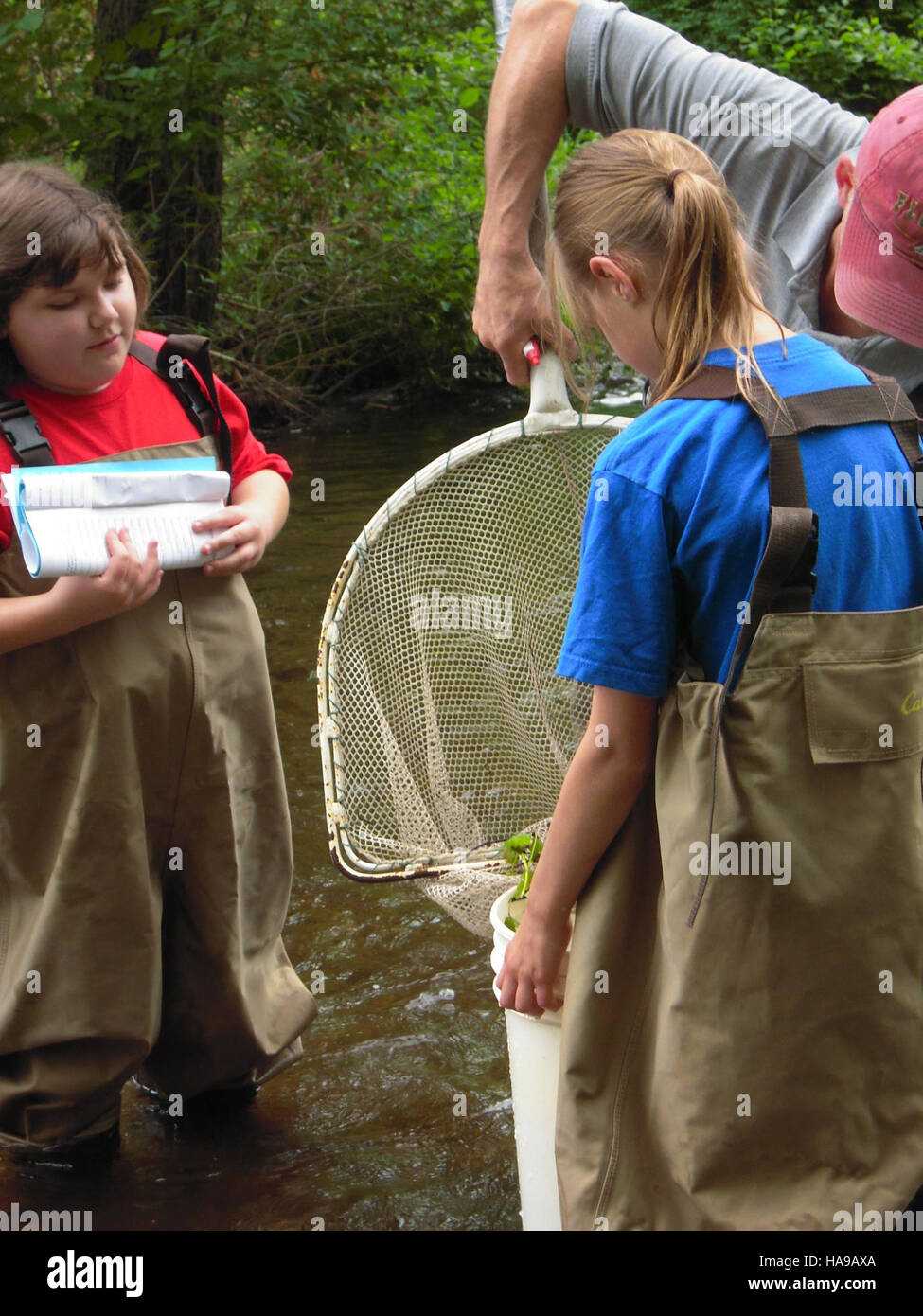 Il controllo delle reti per la ricerca di specie in un parco nazionale fa parte degli sforzi di monitoraggio della fauna selvatica in corso per monitorare la salute degli ecosistemi e garantire la conservazione delle specie. I dati aiutano a preservare la biodiversità. Foto Stock