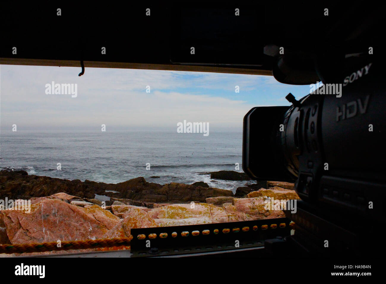 Una vista interna di una fauna selvatica cieca in un parco nazionale, che offre opportunità di osservazione della fauna selvatica riducendo al minimo i disturbi umani. Foto Stock