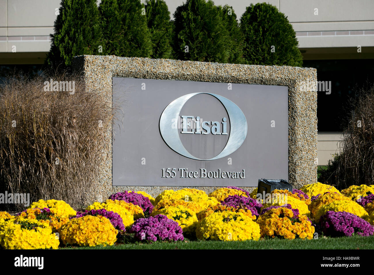 Un segno del logo al di fuori di una struttura occupata da Eisai Pharmaceuticals in Woodcliff Lake, New Jersey il 5 novembre 2016. Foto Stock