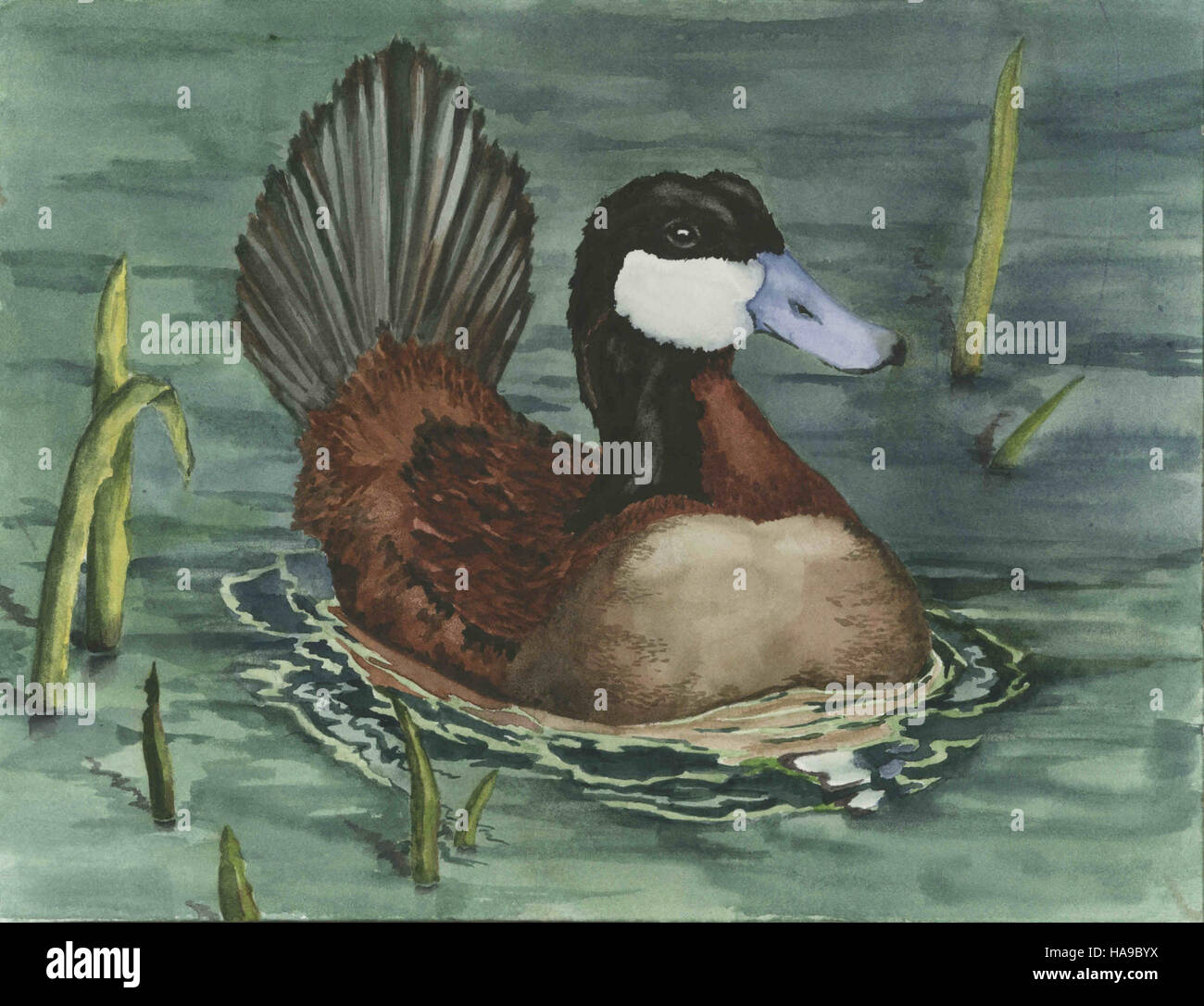 Il New Mexico National Park è un'area protetta situata nel sud-ovest degli Stati Uniti, nota per i suoi diversi ecosistemi e le bellezze naturali. Il parco è sede di paesaggi unici, tra cui deserto, praterie e alte catene montuose, che offrono una varietà di habitat per la fauna selvatica. È una destinazione popolare per le attività ricreative all'aperto, tra cui escursioni, campeggio e osservazione della fauna selvatica. Foto Stock