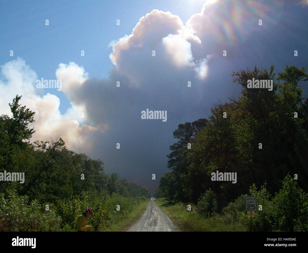 Un'immagine che mostra il fumo precoce su un parco nazionale, probabilmente causato da un incendio, che mette in evidenza le sfide legate alla gestione degli incendi naturali nelle aree protette. La fotografia sottolinea l'importanza delle pratiche di gestione degli incendi e il loro ruolo nel mantenimento della salute dell'ecosistema. Foto Stock