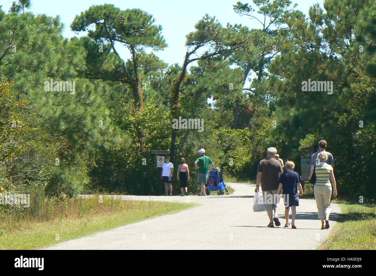 I visitatori camminano fino alla spiaggia del Chincoteague National Park, un'area costiera protetta conosciuta per la sua fauna selvatica, tra cui uccelli migratori e pony selvatici. Foto Stock