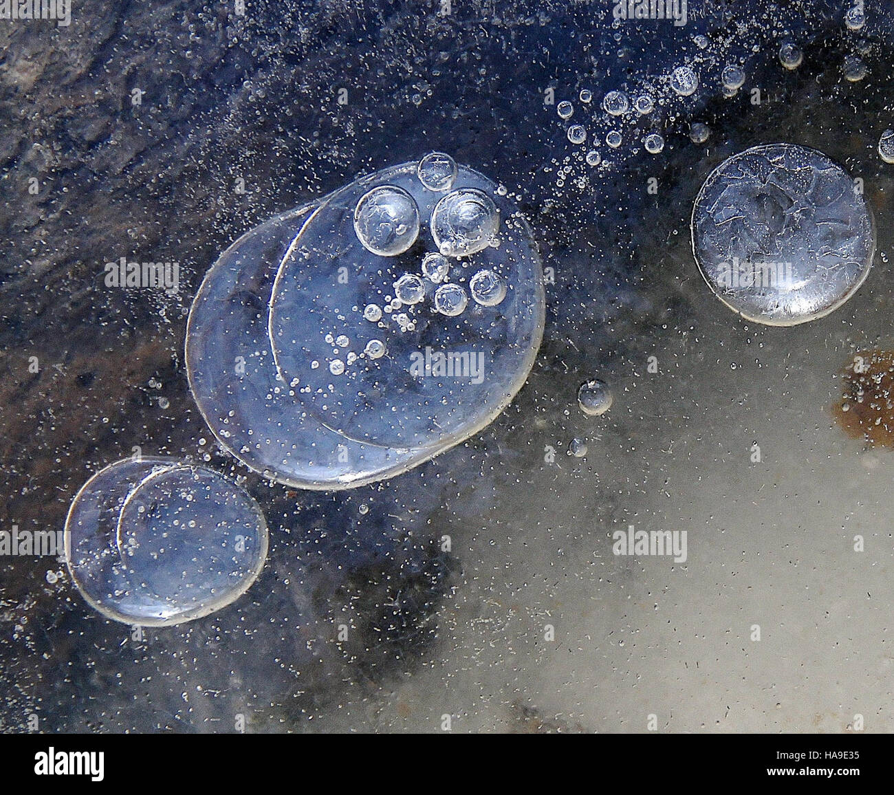 Una splendida immagine di cristalli e formazioni di ghiaccio in un parco nazionale nella regione nord-orientale, che mostra i delicati e intricati motivi formati dai processi naturali. La fotografia evidenzia la bellezza del ghiaccio come elemento chiave dell'ecosistema invernale del parco. Foto Stock