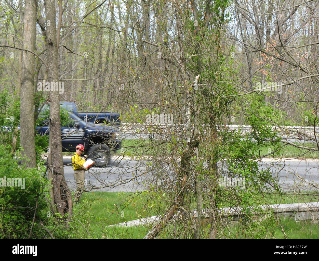 Il monitoraggio del fumo nelle autostrade nei parchi nazionali è uno sforzo ambientale critico per gestire la qualità dell'aria, monitorare l'attività degli incendi e proteggere la salute umana ed ecologica negli ambienti del parco. Foto Stock