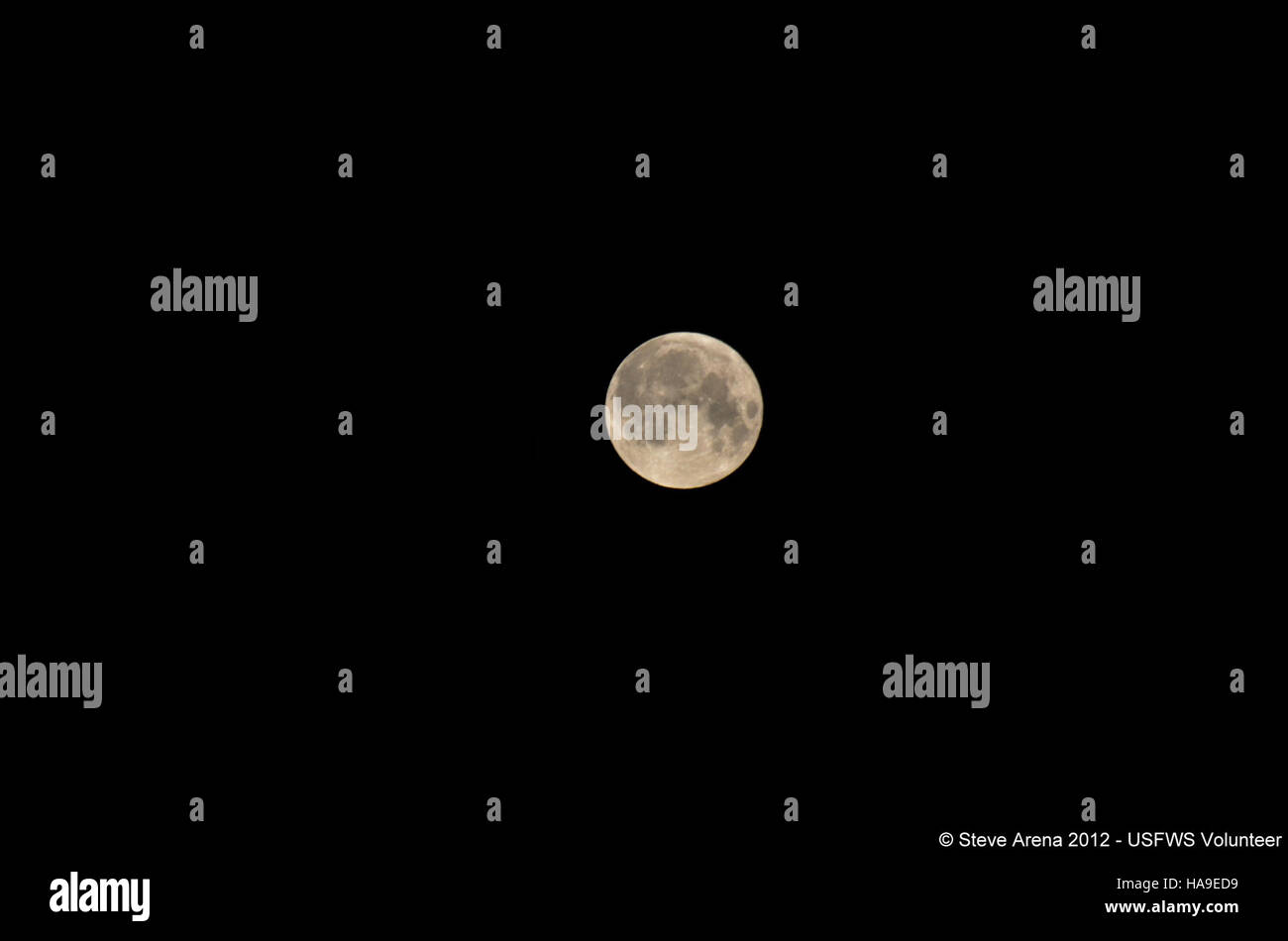 7164439984 usfwsnortheast 'Super' luna presa dalla cima della torre di osservazione 3;36 a.m. 06 maggio 2012 prima dell'indagine Marshbird Foto Stock