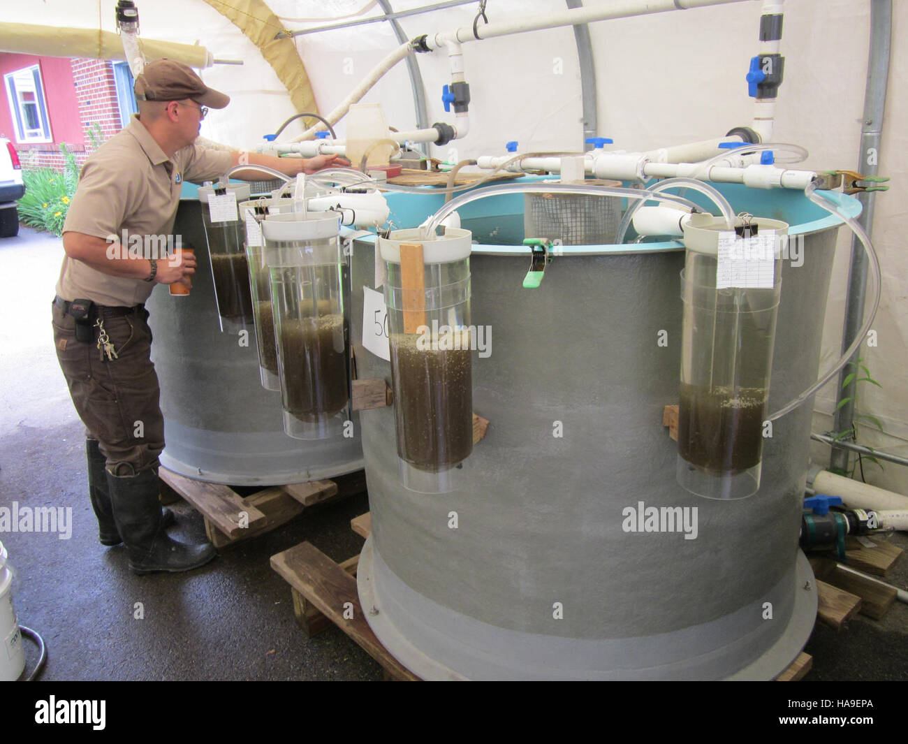 Presso il Northeast Fishery Center sono in corso sforzi per tendere alla schiusa, sostenere le popolazioni ittiche e contribuire al ripristino degli ecosistemi acquatici locali e della pesca. Foto Stock