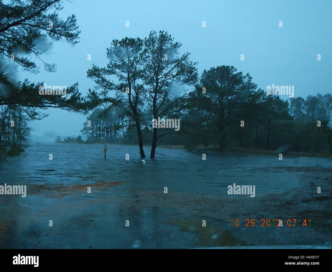 Il Chincoteague National Wildlife Refuge in Virginia è un'area protetta conosciuta per la sua variegata fauna selvatica, tra cui i famosi pony selvatici. Svolge un ruolo cruciale nella conservazione dell'habitat degli uccelli migratori e di altre specie. Foto Stock
