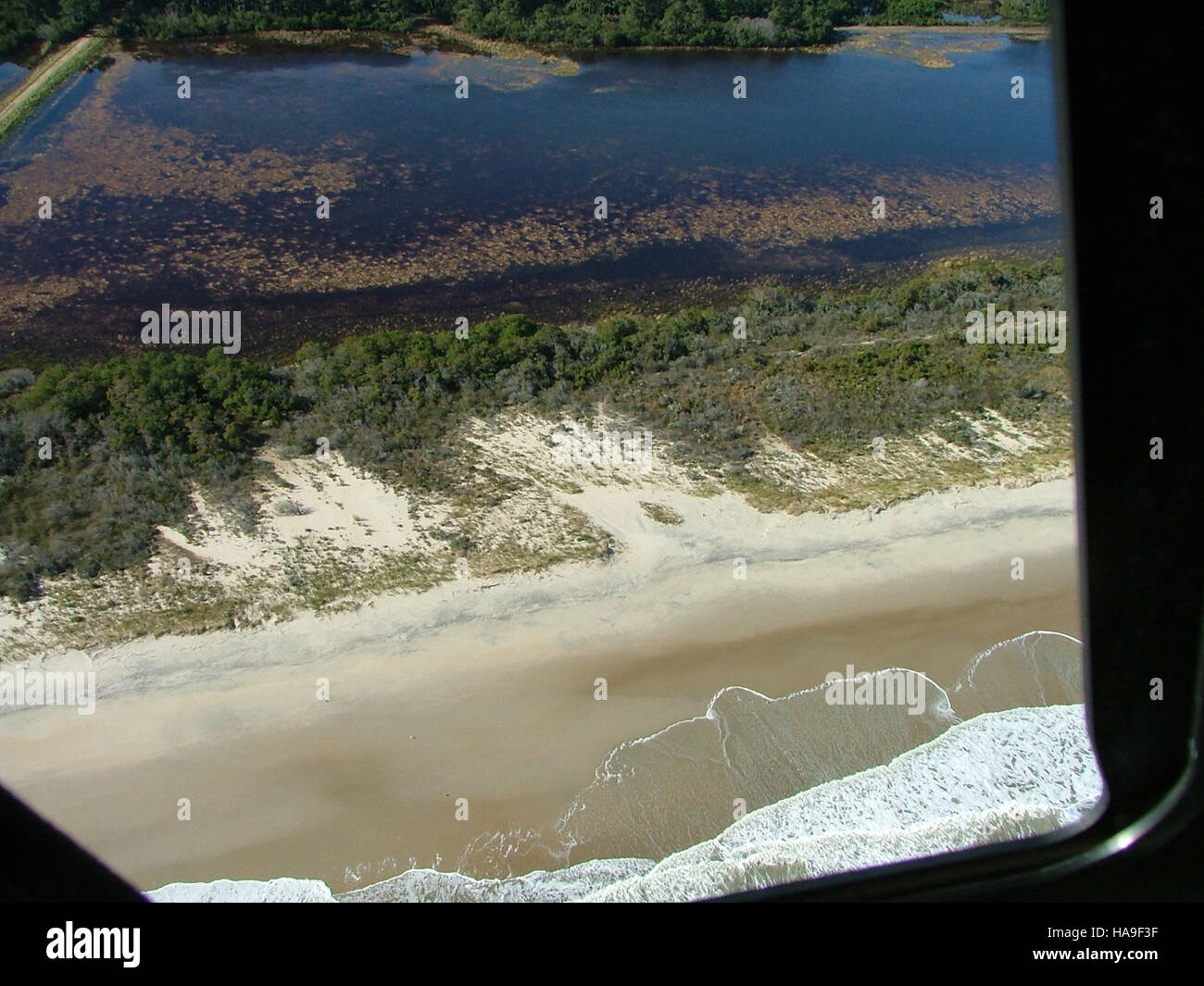 Il Chincoteague National Wildlife Refuge in Virginia è un'area protetta conosciuta per i suoi diversi ecosistemi, tra cui zone umide, paludi salate e foreste. Fornisce l'habitat per gli uccelli migratori, tra cui i famosi pony selvatici. Foto Stock