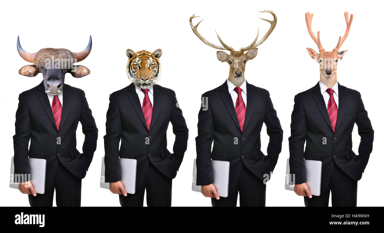 Animali vestito come business formale uomo, cervi tiger bear gaur bison Foto Stock