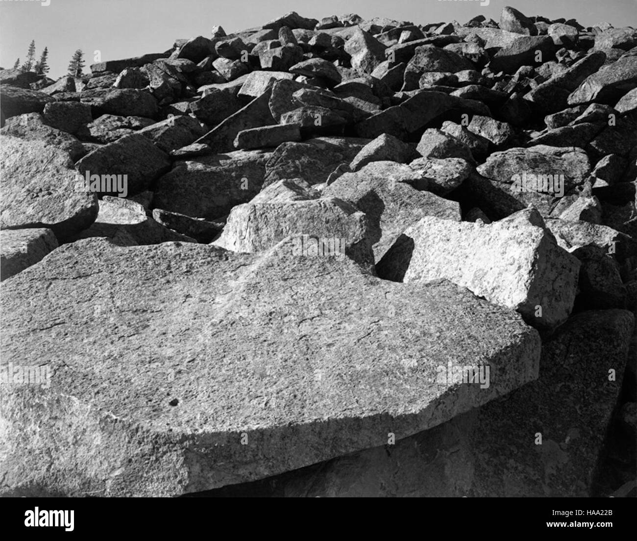 Il progetto murale di Ansel Adams, creato tra il 1941 e il 1942, cattura la grandezza dei parchi nazionali attraverso la fotografia. I murales, esposti nelle logge del parco nazionale, evidenziano i paesaggi del parco e promuovono la conservazione. Foto Stock