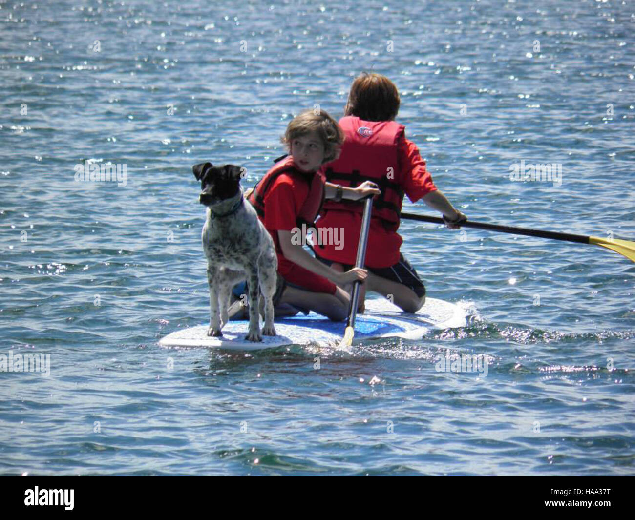 Stand-up paddleboard nell'Adirondack State Park, New York, una popolare attività all'aperto nei laghi e nei corsi d'acqua del parco, che enfatizza l'uso ricreativo delle risorse naturali. Foto Stock