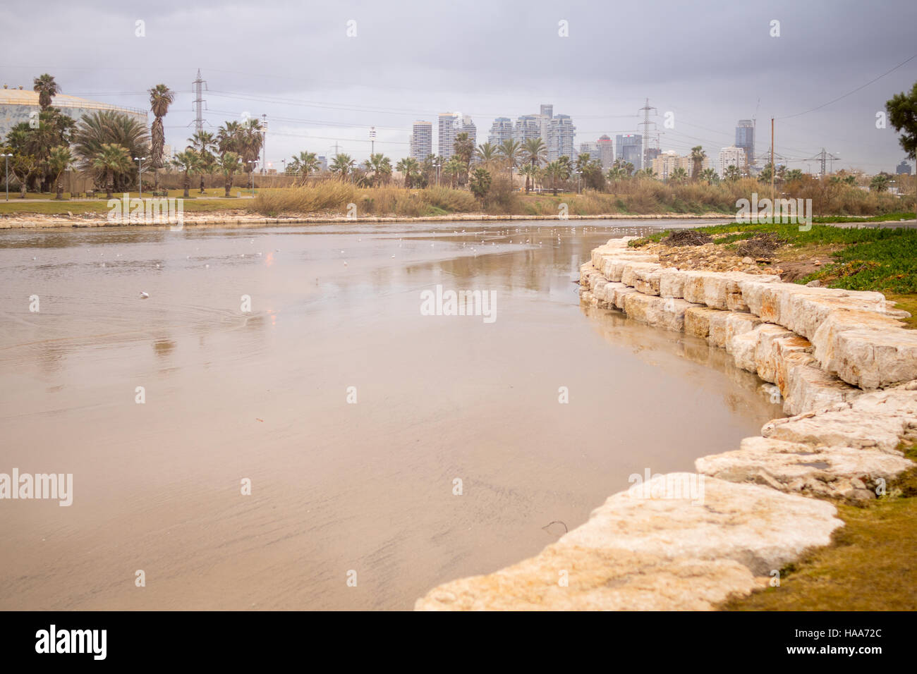 Scena invernale con il flusso Yarkon e gabbiani, in Tel Aviv, Israele Foto Stock