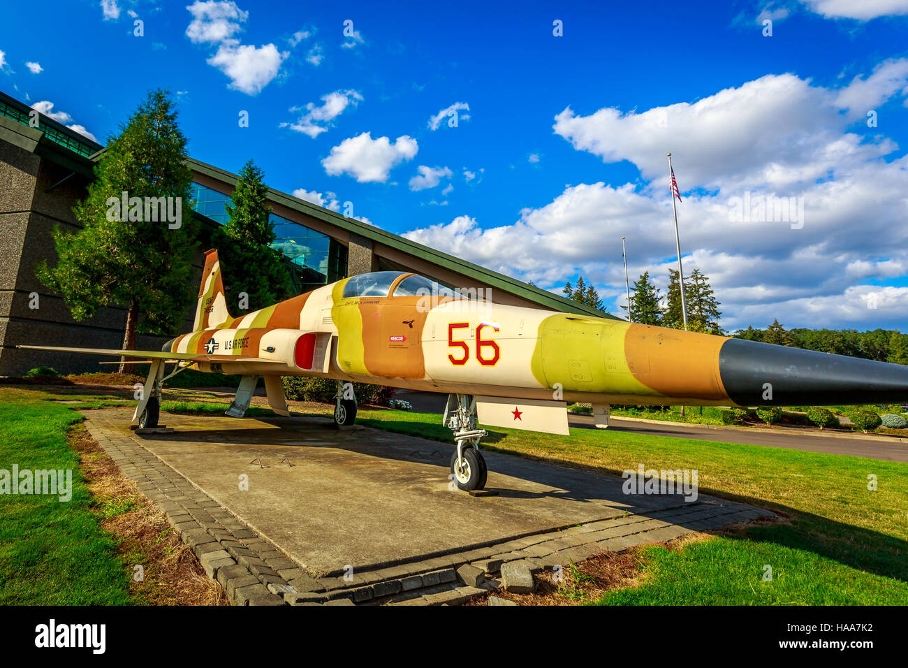 McMinnville, Oregon - Agosto 31, 2014: Fighter Aircraft Northrop F-5E Tiger II con striscia di deserto in mostra a Evergreen Aviation & Space Museum. Foto Stock