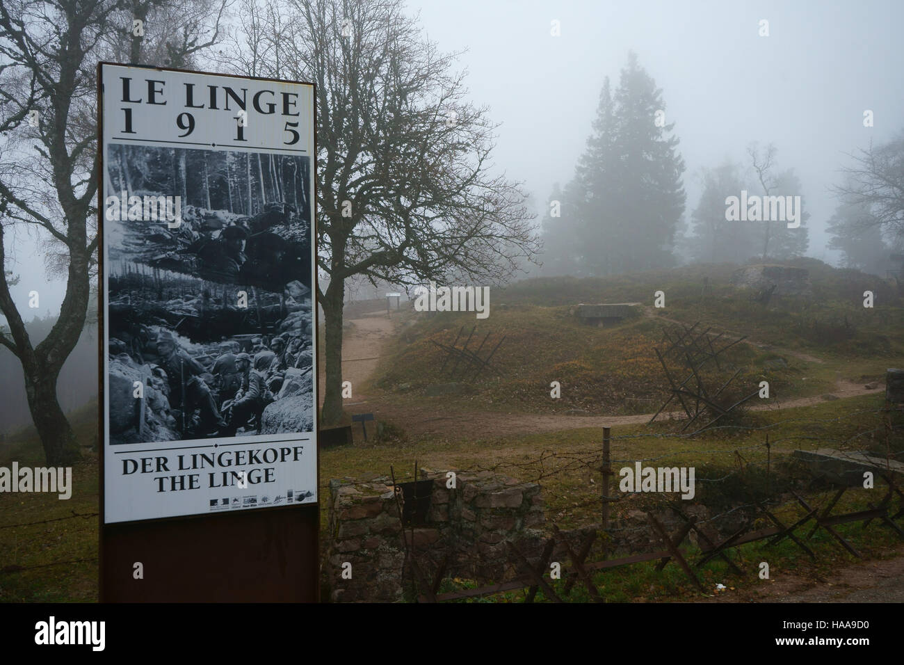 La prima guerra mondiale il campo di battaglia sulla Ligne o Lingekopf, guerra memorail , foto e trincee Alsazia, Vosgese montagne, Francia Foto Stock