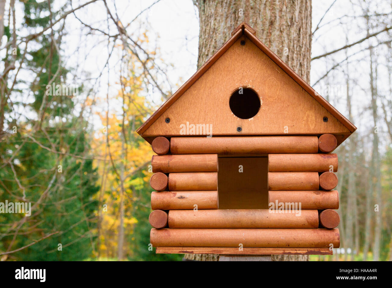 Birdhouse in legno in un bellissimo parco di autunno Foto Stock