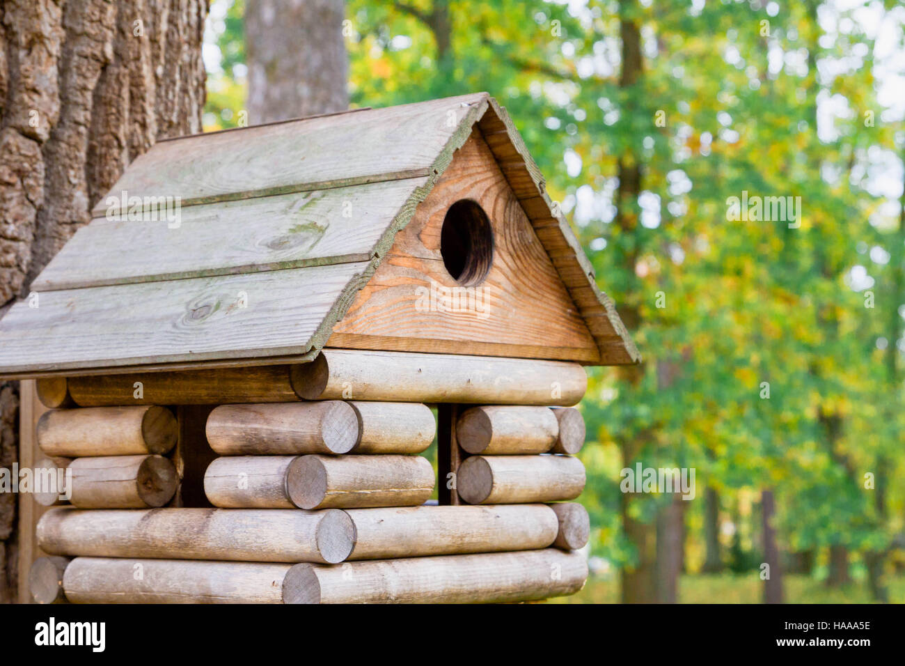Birdhouse in legno in un bellissimo parco di autunno Foto Stock