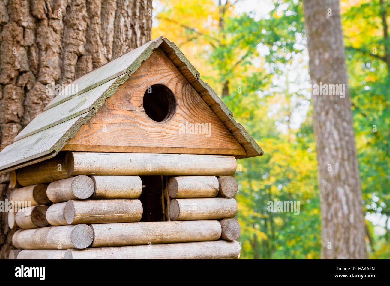 Birdhouse in legno in un bellissimo parco di autunno Foto Stock