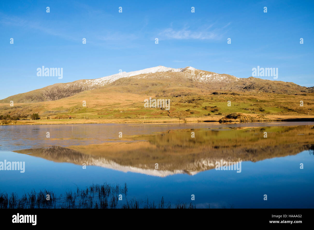 Cima innevata del Mount Snowdon riflesso in acque calme della parte congelati Llyn y Gader lago nel Parco Nazionale di Snowdonia. Rhyd-Ddu, Beddgelert, Gwynedd, Galles Foto Stock