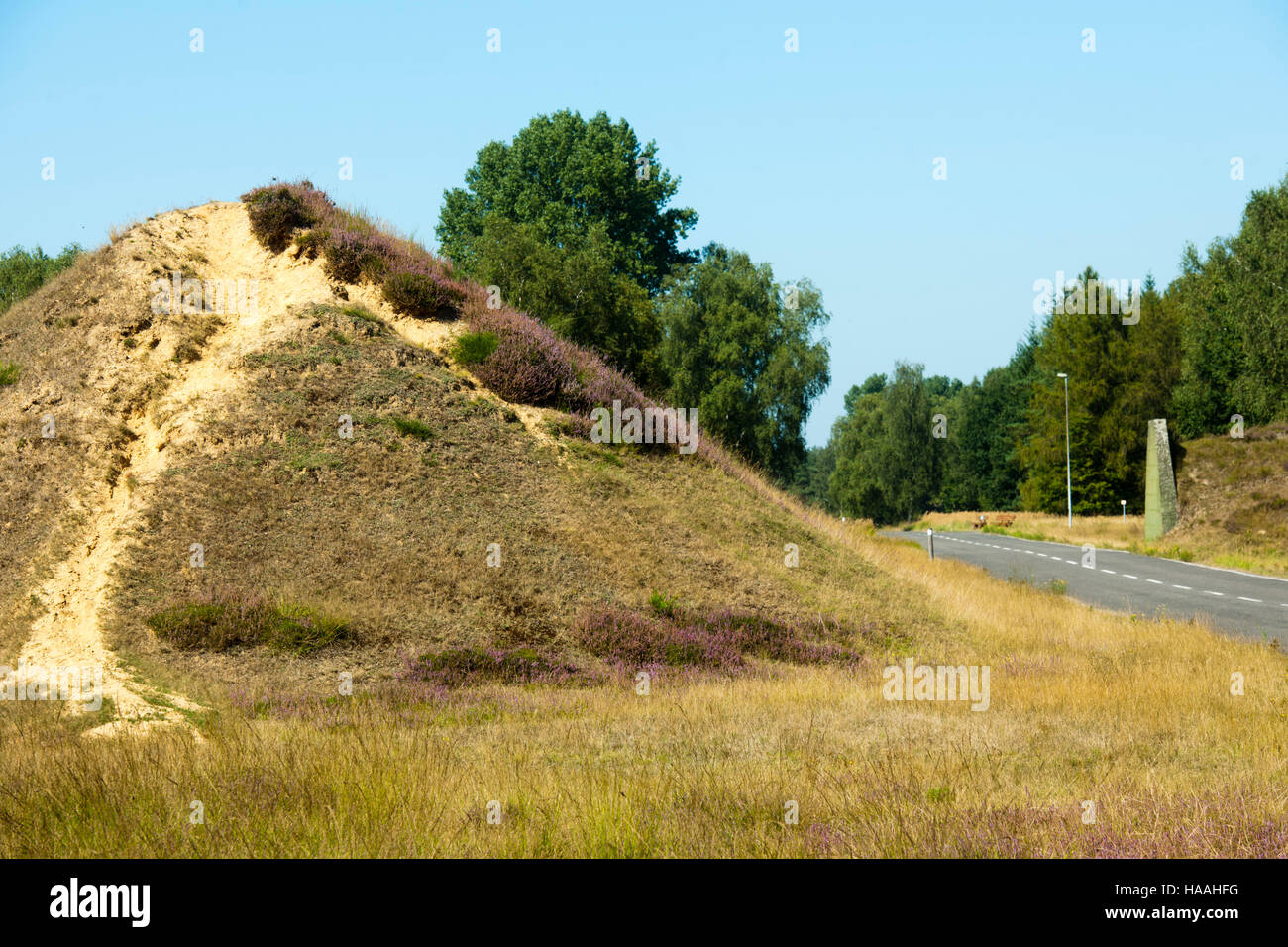 Deutschland, Renania settentrionale-Vestfalia, Kreis Viersen, Brüggen-Bracht, Naturpark Brachter Wald. Dieses etwa 1250 ettari grosse capitolo Gebiet war bis Mitte der neunziger Foto Stock