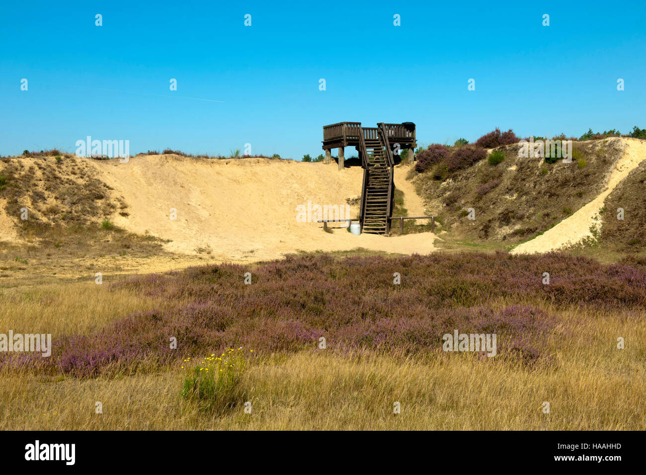 Deutschland, Renania settentrionale-Vestfalia, Kreis Viersen, Brüggen-Bracht, Naturpark Brachter Wald. Dieses etwa 1250 ettari grosse capitolo Gebiet war bis Mitte der neunziger Foto Stock