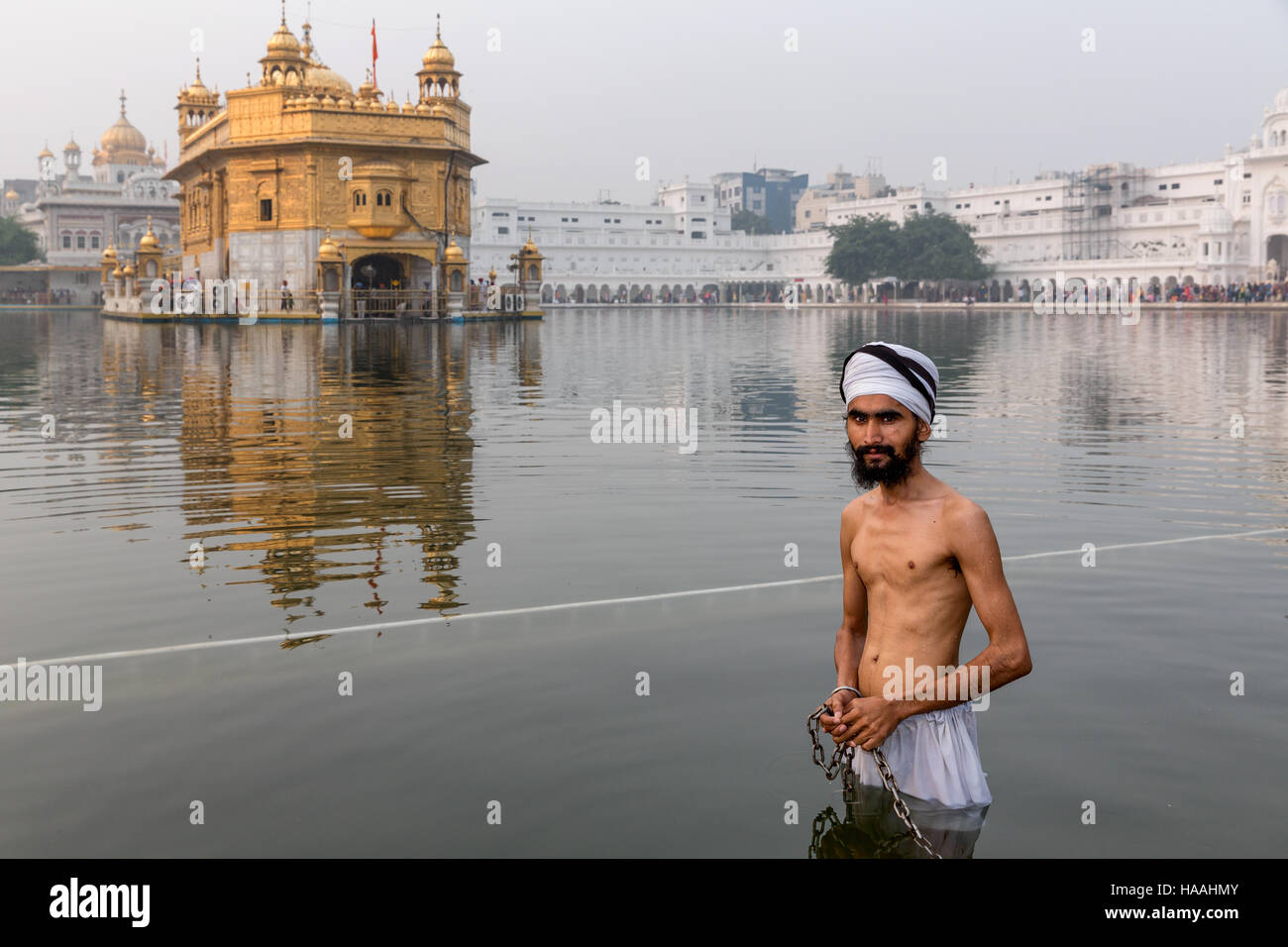 Tempio d'oro, Hari Mandir, un pellegrino indossando turbante prendendo un bagno rituale nel lago santo di Amritsar Punjab, India Foto Stock