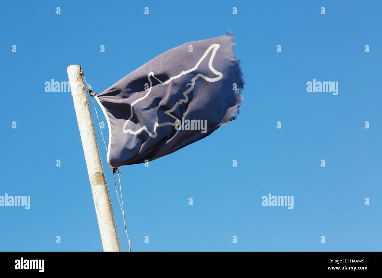 Avviso di squalo bandiera, St James Beach, Città del Capo, Sud Africa Foto Stock