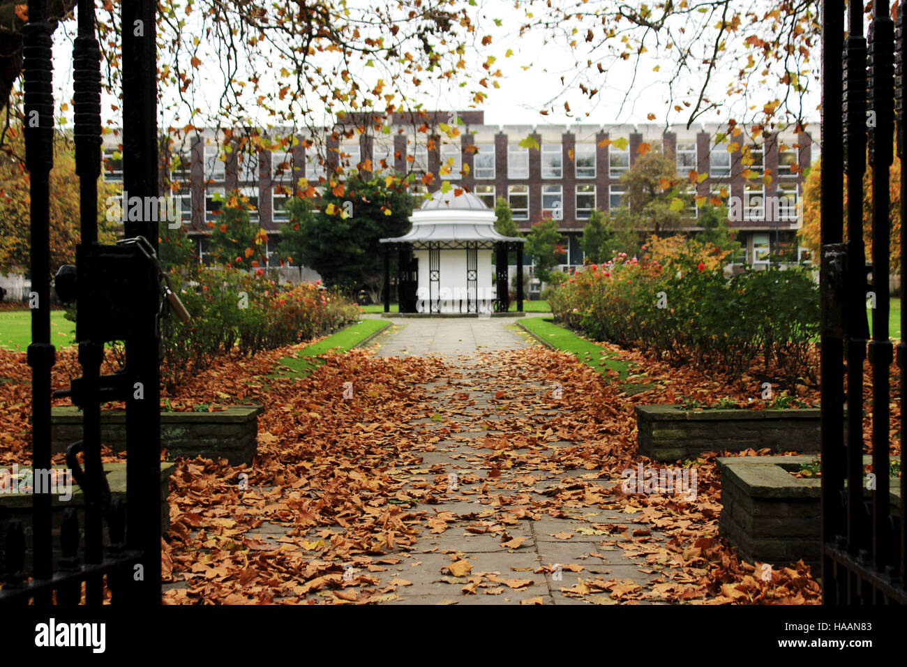 Abercromby Square Liverpool Foto Stock