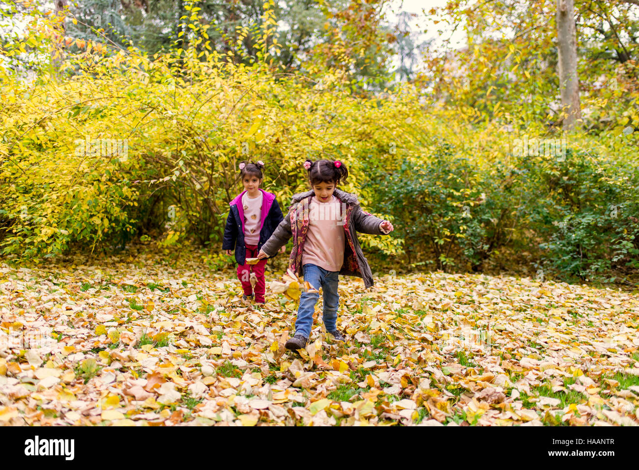 Due bambine divertirsi nel parco di autunno Foto Stock