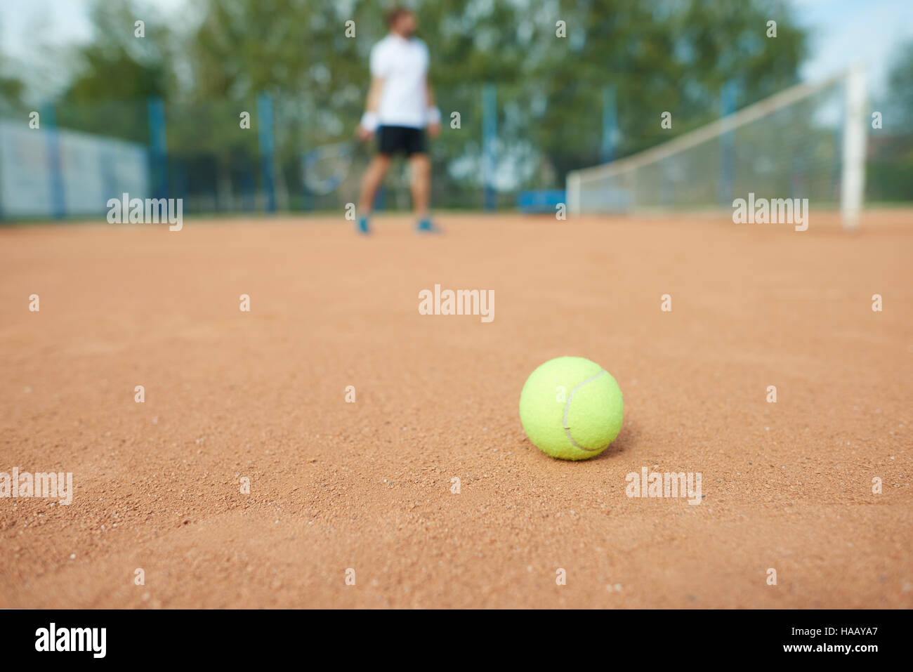 Palla da tennis e uomo in background Foto Stock