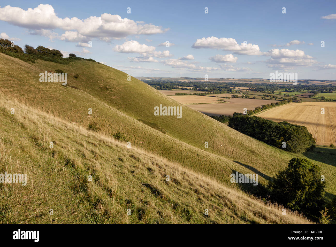 Guardando verso est attraverso Knapp Hill su Pewsey Downs nel Wiltshire Foto Stock