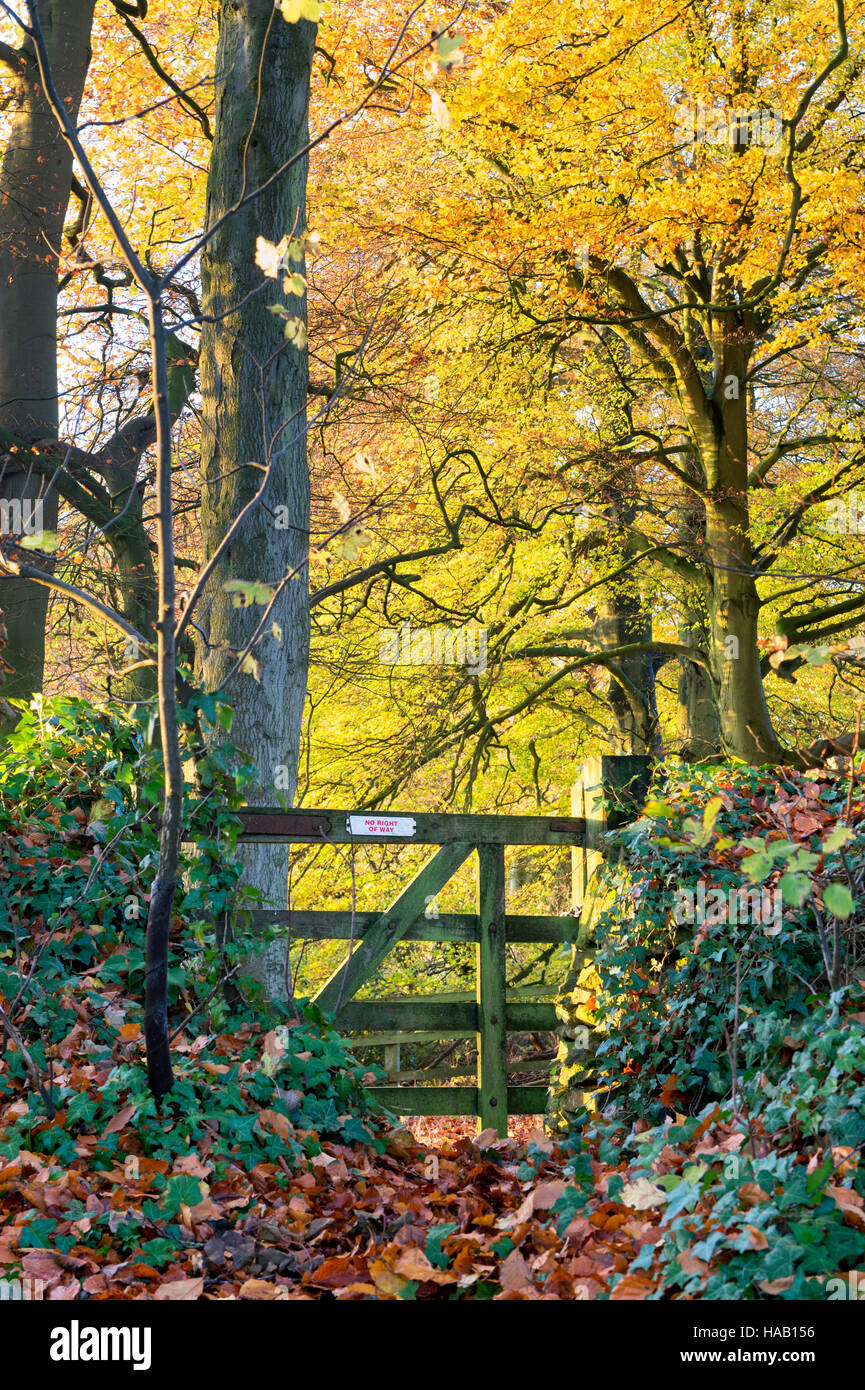 Nessun diritto di firmare per un cancello in legno in autunno cotswold campagna. Gloucestershire, Inghilterra Foto Stock