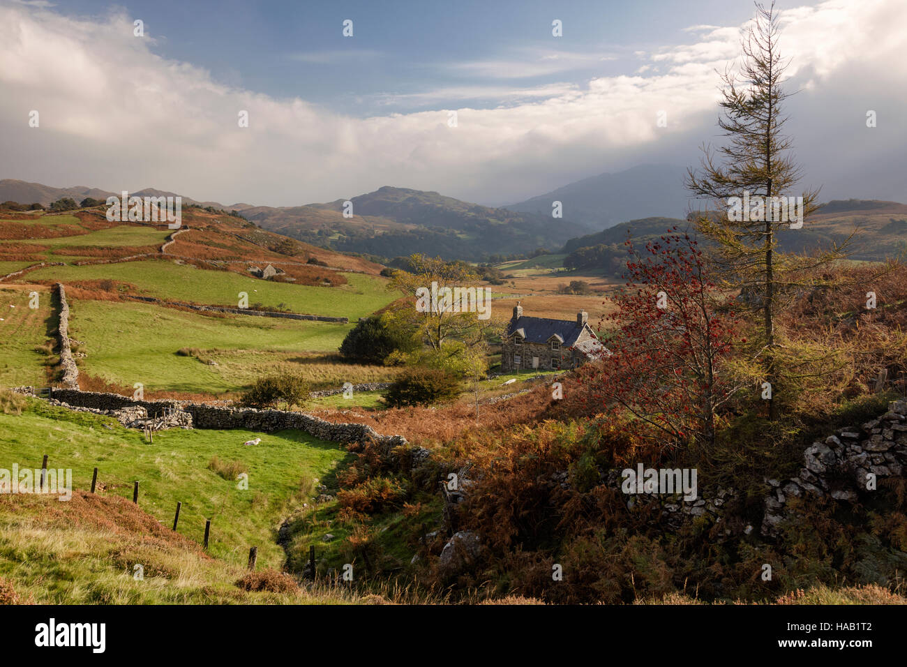 Agriturismo in autunno nelle montagne di Snowdonia Foto Stock