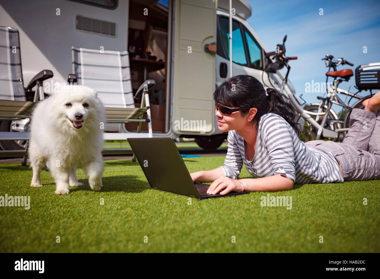 Donna sul prato con un cane che guardano un notebook. Caravan auto vacanza. Vacanza per la famiglia in viaggio, viaggio vacanza in camper Foto Stock