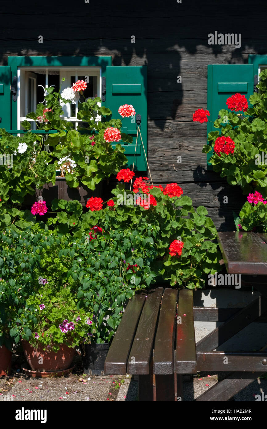 Panca in legno con tavolo e la vecchia casa in legno con fiori Foto Stock