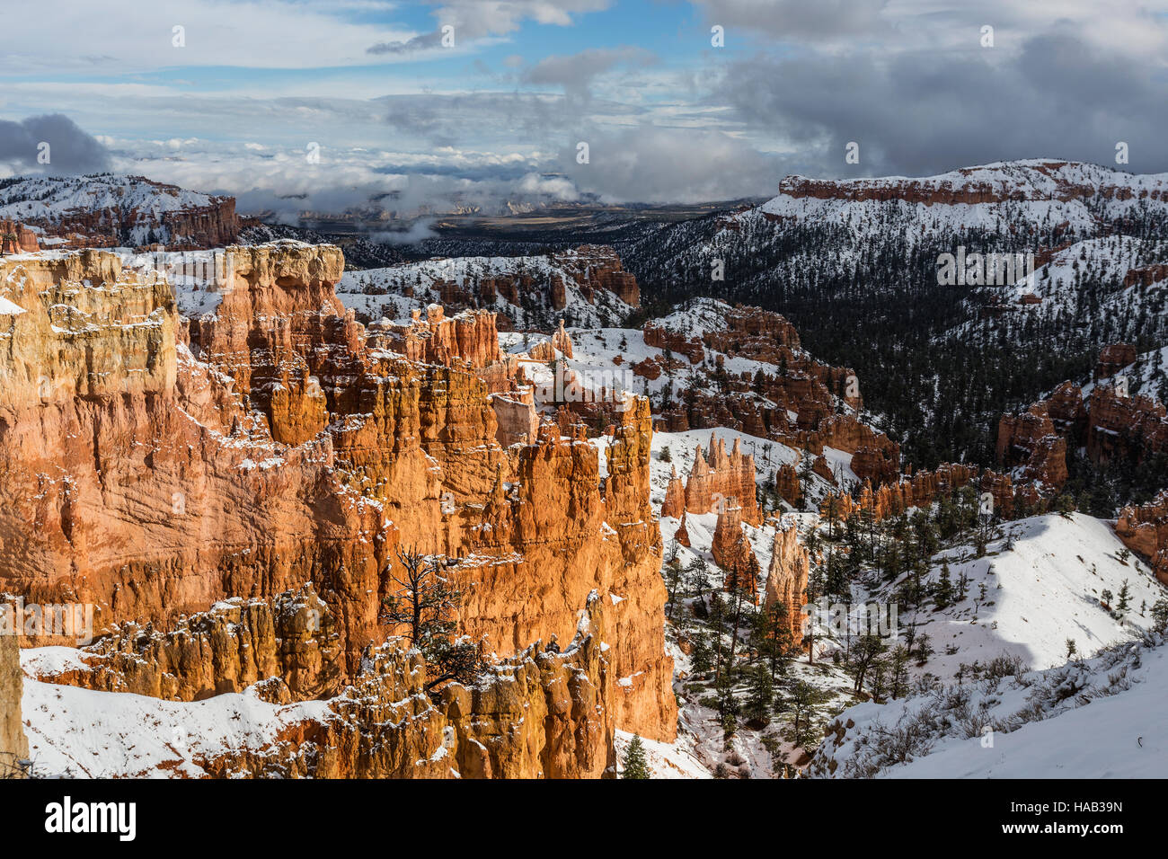 Parco Nazionale di Bryce Canyon tempesta di neve vista. Foto Stock