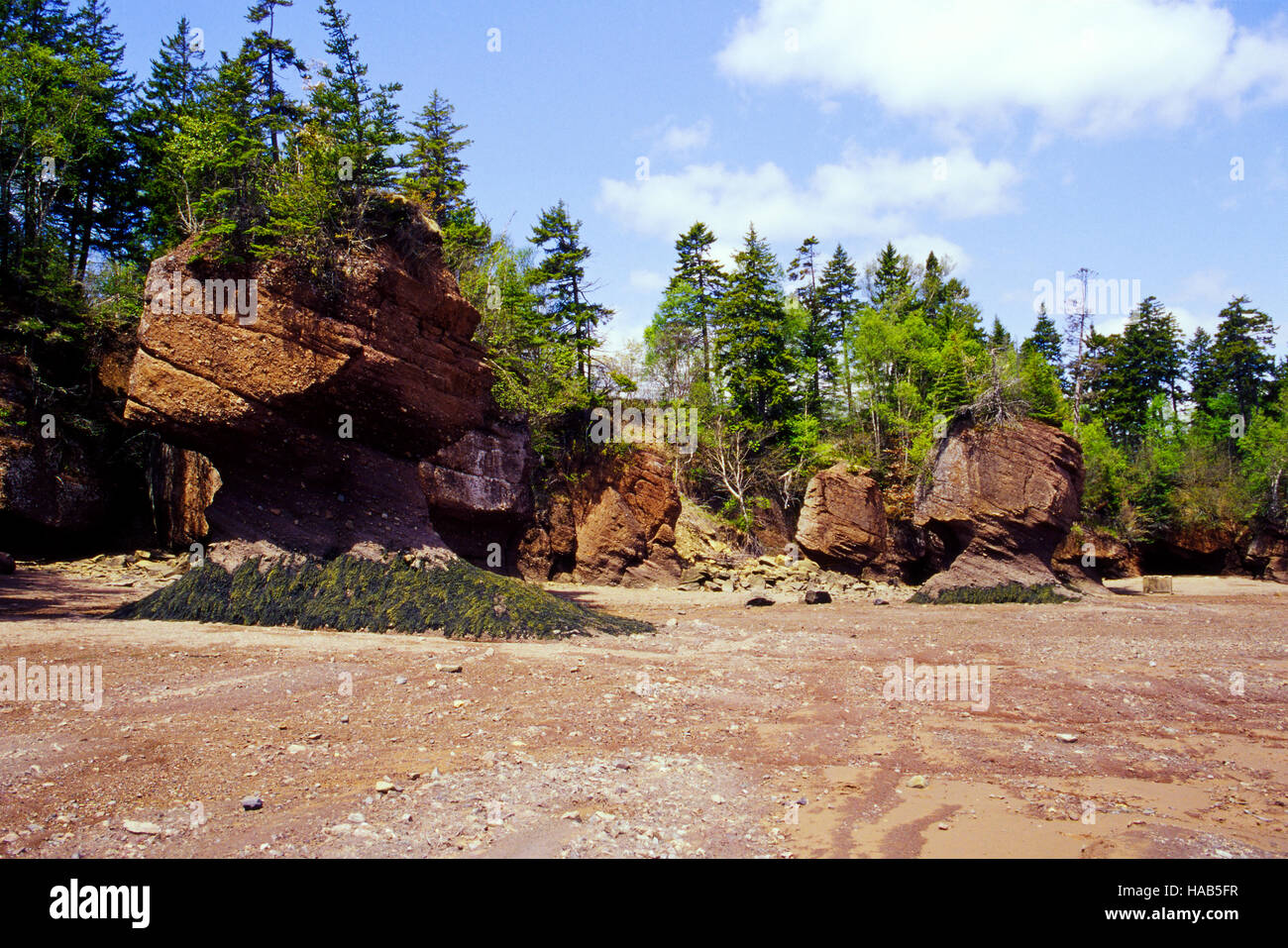 Hopewell Rocks New Brunswick Canada Foto Stock