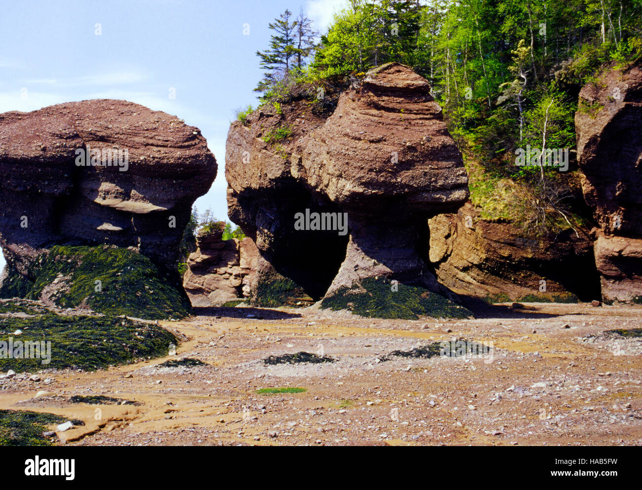 Hopewell Rocks New Brunswick Canada Foto Stock