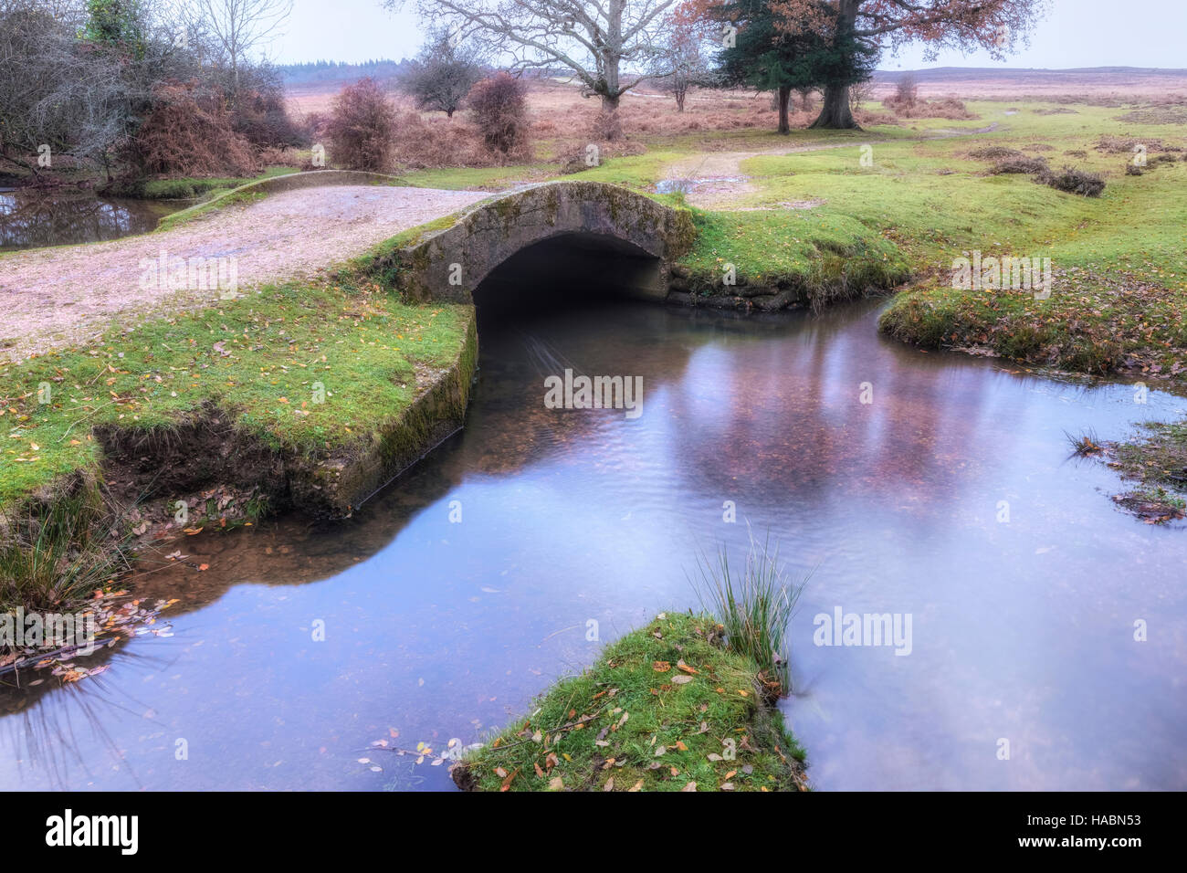 Ponte di Splash, Holly Hatch Inclosure, New Forest, Hampshire, Inghilterra, Regno Unito Foto Stock