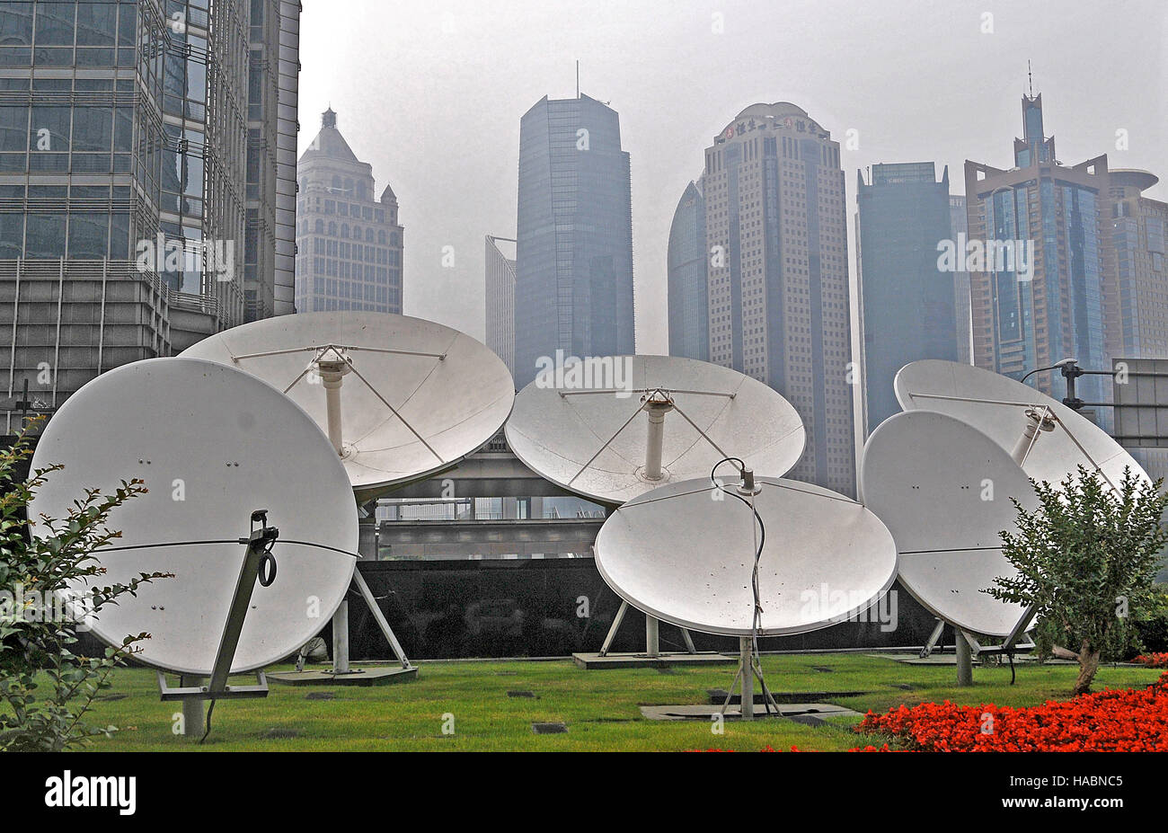 Paraboles Pudong Shanghai in Cina Foto Stock