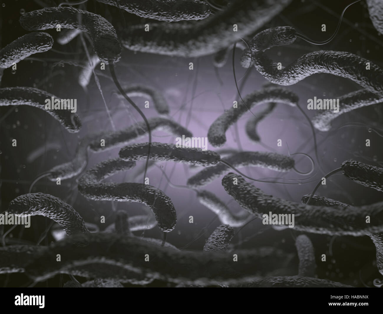 Vibrio cholerae, batteri Gram-negativi. 3D illustrazione di batteri con flagelli. Foto Stock