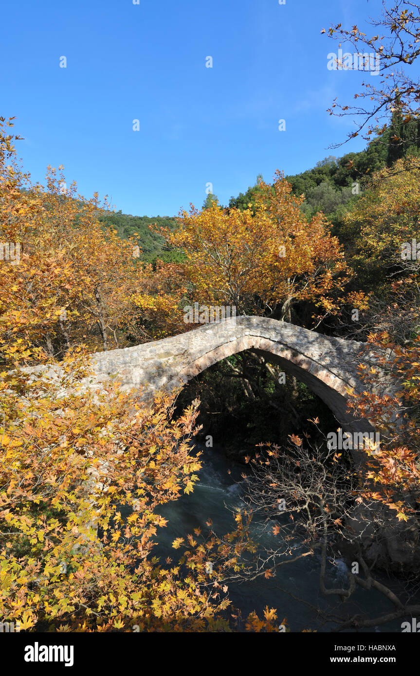 Ponte nel fiume Lousios vicino al villaggio di Karytaina in Arcadia, Peloponneso, Grecia Foto Stock