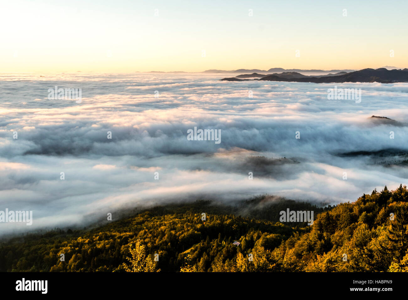 Magnifico nebbia pesante in Slovenia Foto Stock