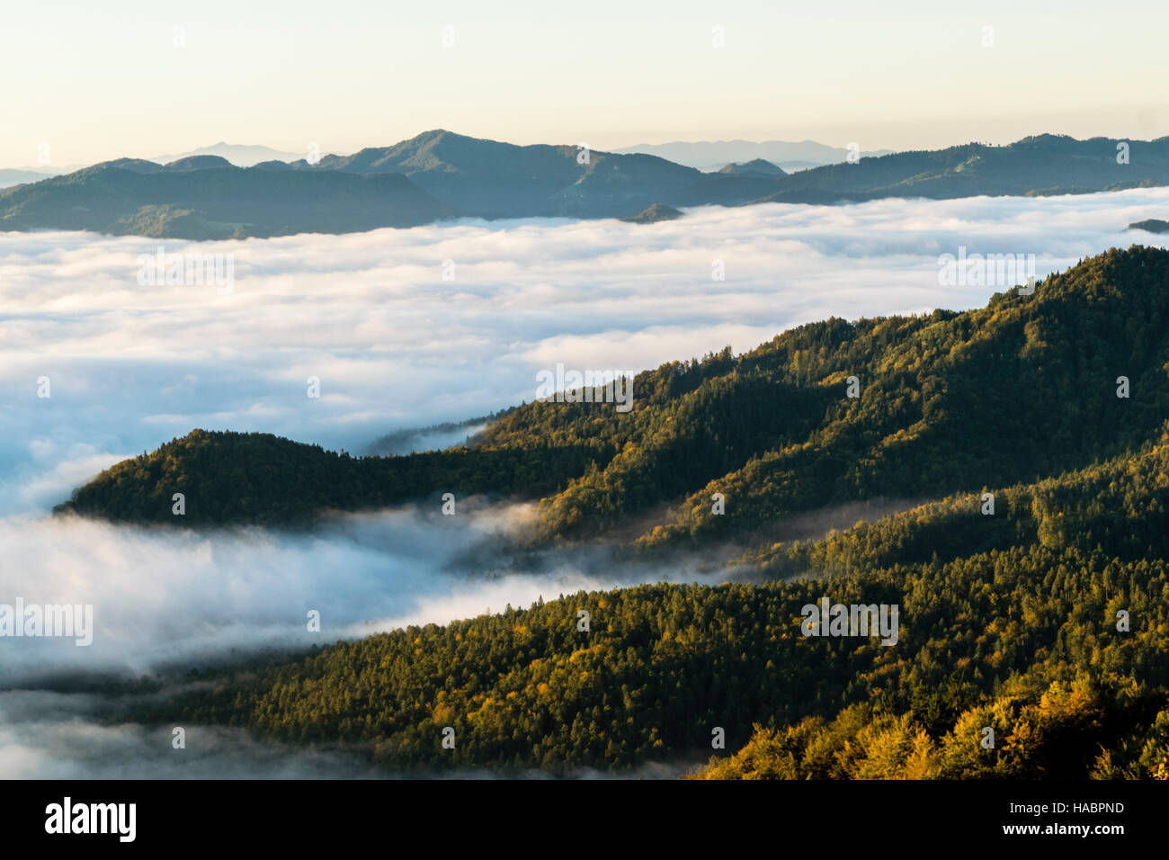 Magnifico nebbia pesante in Slovenia Foto Stock