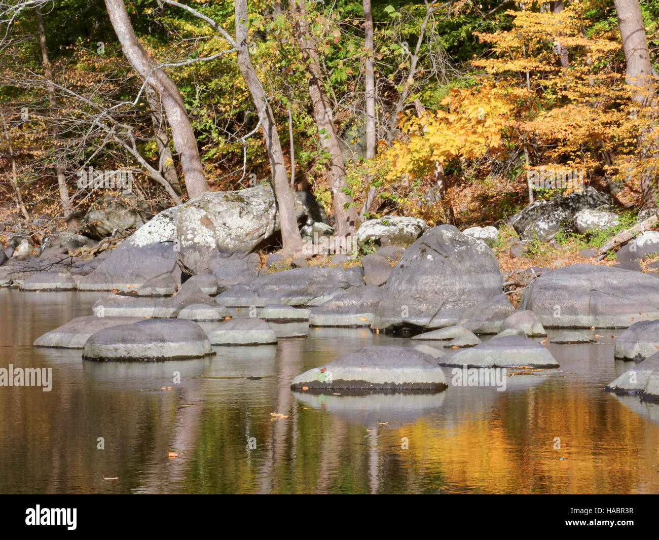 fiume in autunno Foto Stock