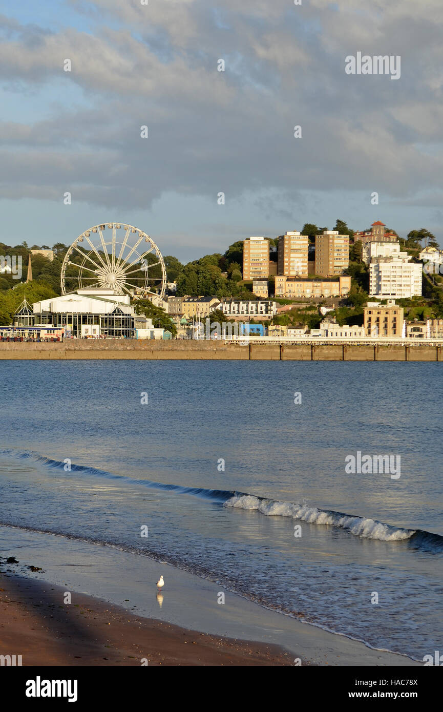 Vista sul lungomare di Torquay, nel Devon, Inghilterra Foto Stock
