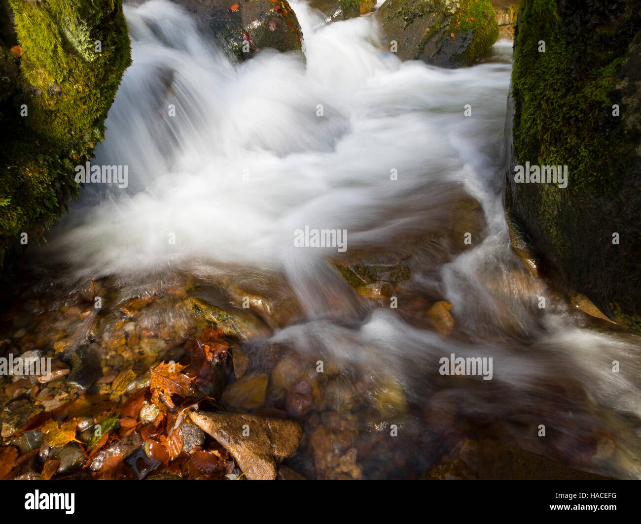 Torrente di montagna fotografati a velocità lenta. Foto Stock