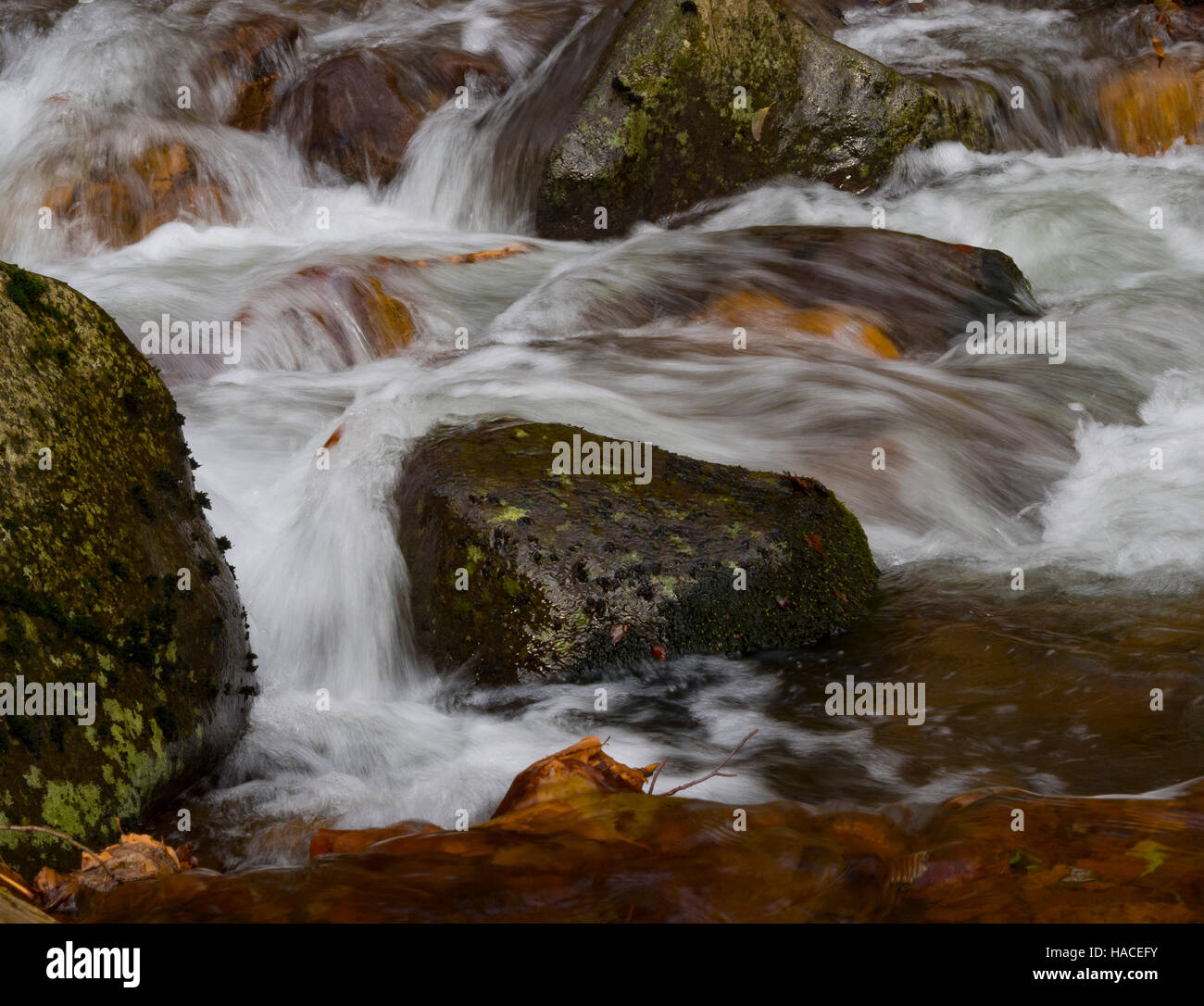 Torrente di montagna fotografati a velocità lenta. Foto Stock