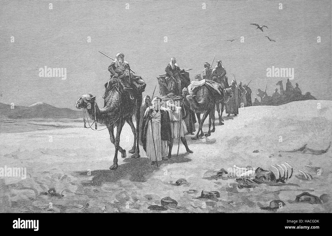 Un Arabian caravan con i cammelli nel deserto, 1880, storico illustrazione, xilografia Foto Stock