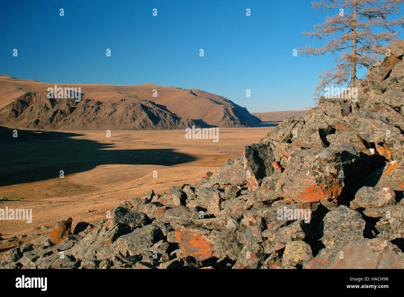Autunno lungo il fiume Chuluut Valley, Arkhangai, Mongolia Foto Stock