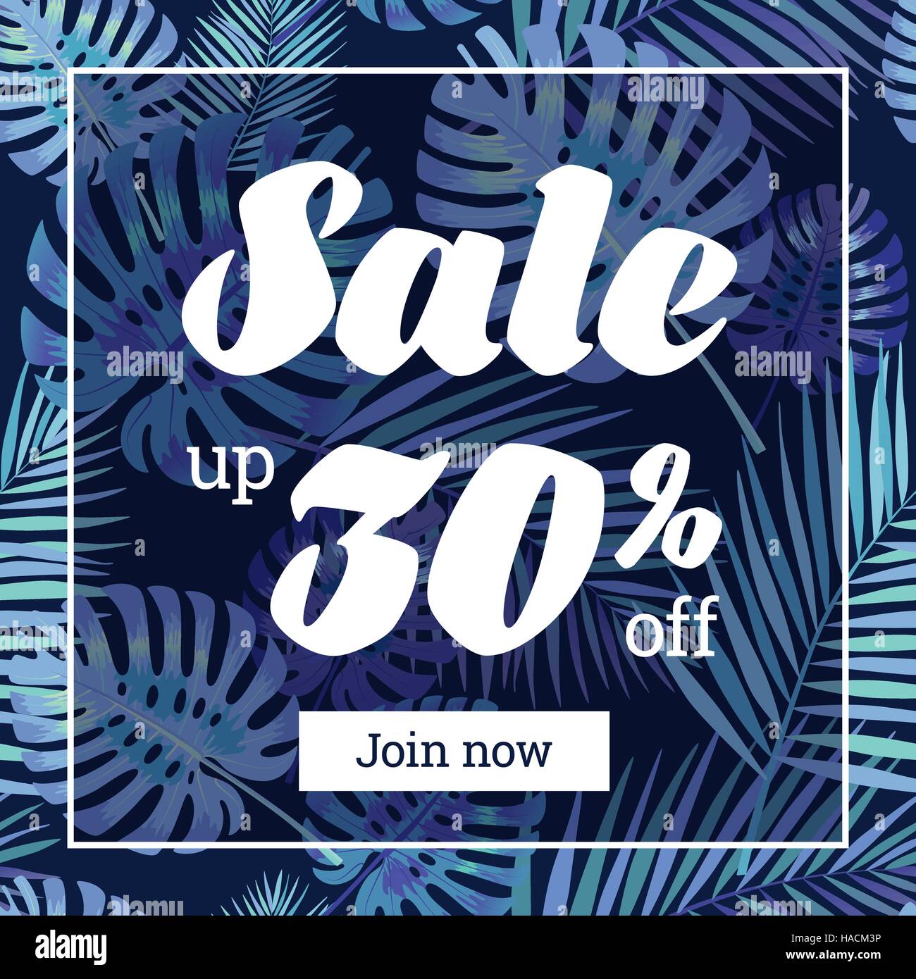 Promozione per l'estate. Web-banner o un poster con foglie di palma. EPS 10 Illustrazione Vettoriale